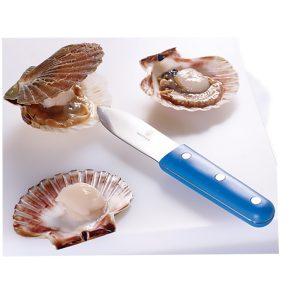 COUTEAU COQUILLE SJ ERGO BLEUE