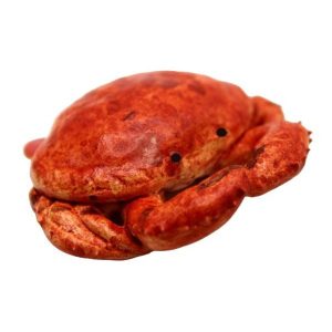 Crabe ( Grand modèle )