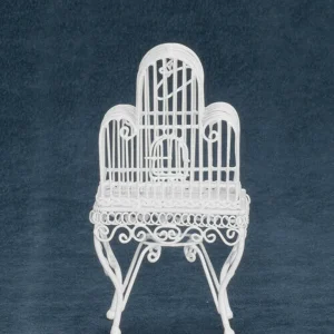 Cage à Oiseaux