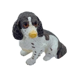 Chien Epagneul Springer  » Plouffie « 