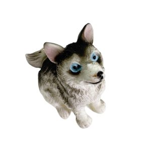 Chien Husky Sibérien  » Braveheart « 