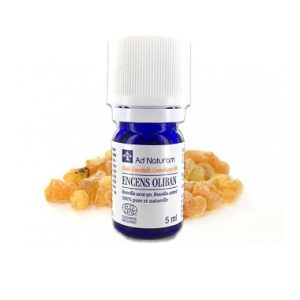 Encens Oliban – Huile essentielle