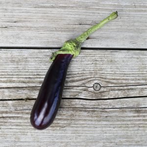 AUBERGINE DE BARBENTANE AB