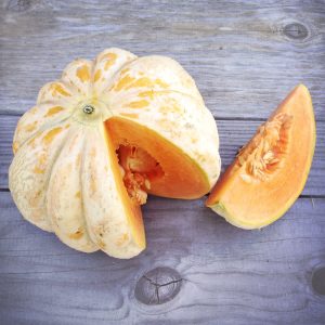 MELON DELICE DE LA TABLE AB