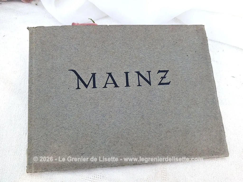 Livret début XX° vues de Mainz (Mayence) Allemagne – Image 7