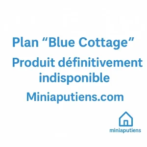 Plan de construction de maison de poupée en français