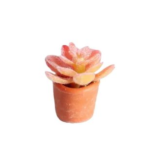 Plante verte en pot