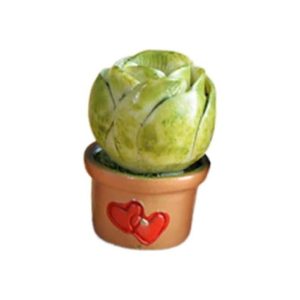 Plante verte en pot