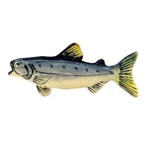 Poisson