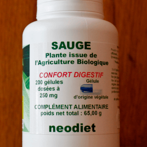 Sauge (Salvia officinalis)