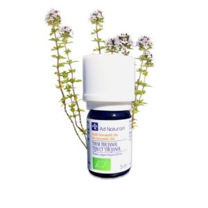 Thym à thujanol – Huile essentielle