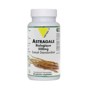 Astragale