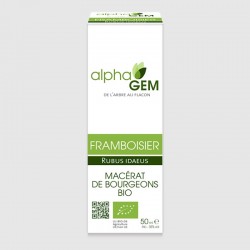 Framboisier Bio – Macérât de bourgeons