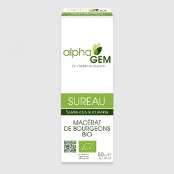 Sureau bio – Macérât de bourgeons