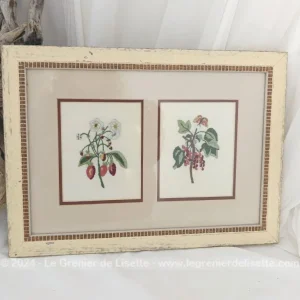 Cadre passe-partout double broderies plantes fait main