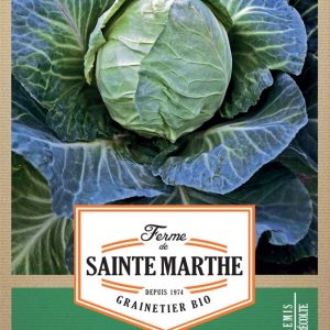 CHOU CABUS COEUR DE BOEUF DES VERTUS AB