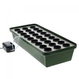 CUTTING BOARD 27 PLANTES – T.A.