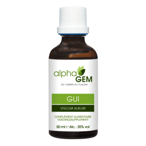Gui bio – Macérât de bourgeons