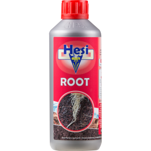 ROOT 1L HESI