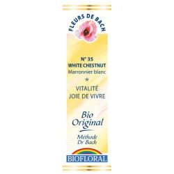Fleurs de Bach N°15 Holly – Houx