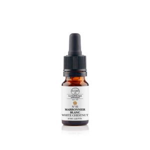 Fleurs de Bach N°35 White chestnut – Marronnier blanc