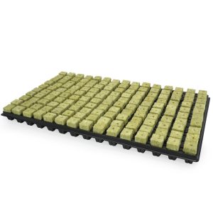 Plateau 150 bouchons laine de roche – Grodan