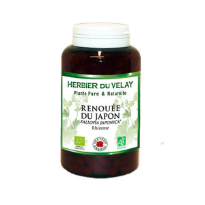 Renouée du Japon – Gélules