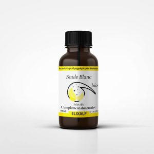 Saule blanc bio